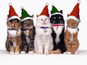 merrychristmascats